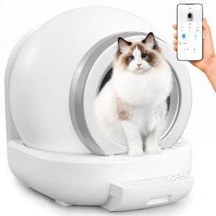 Frisco Multi Function Cat Litter Wayfair